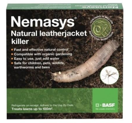 Nemasys leatherjacket - nemasys,