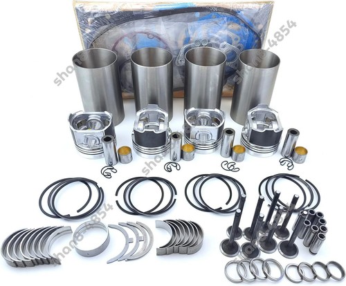 D4bh overhaul rebuild kit - d4bh,