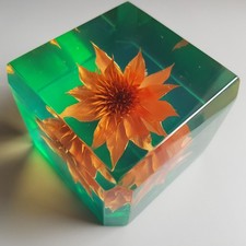 Lucite Paperweight straw dried