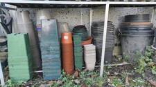 Huge Lot Of Plastic Plant Pots