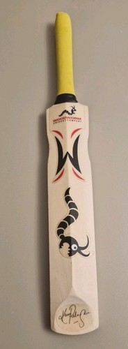 Woodworm kevin pietersen - kevin,