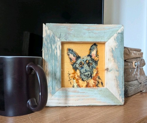German shepherd dog - shepherd, portrait4