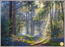 Bluebell Woods 1247 Chart