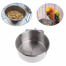  Chinchilla Bowls Bird Water