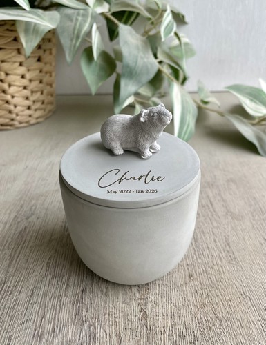 Personalised guinea pig urn - personalised,
