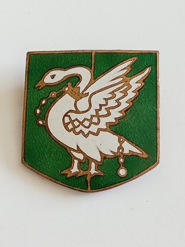 Girl guides county district - girl,