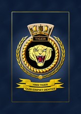 HMS TIGER FRAMED SHIPS CRESTS