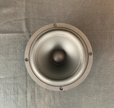 AVI 6" Midrange Driver /