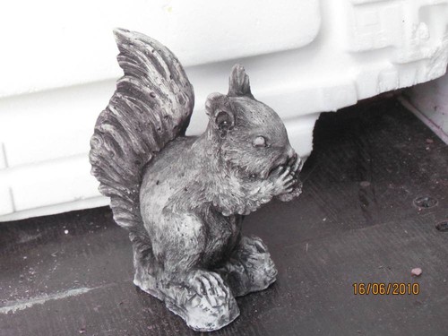Squirrel with nut - , (concrete