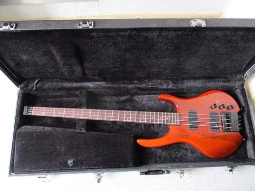Bass guitar - bass,
