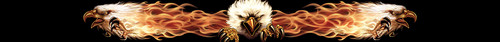 Sticker fire eagle xxl 152 - 152, x