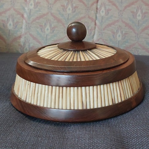 Stunning round porcupine - a,