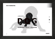 Cute Labrador Framed Wall Art