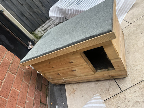 Large cat house - /, shelter