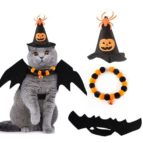 Cat pirate hat - pirate,