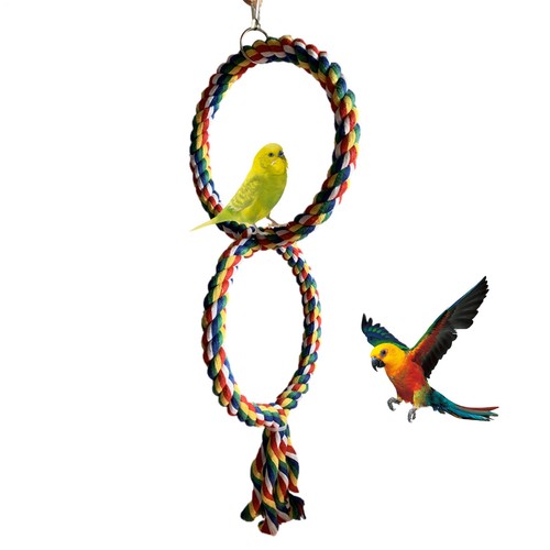 Hanging parrot round - hanging,