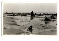 Lincolnshire. The Submerged