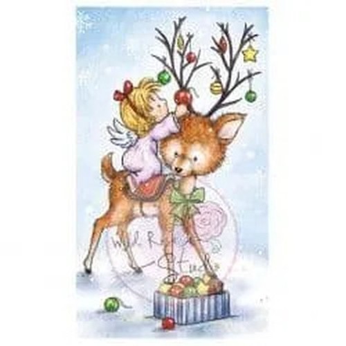 Wild rose studio angel - wild,