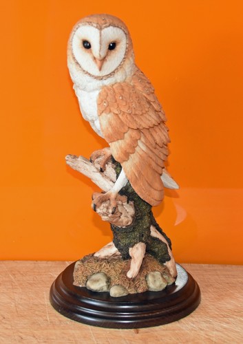 Country artists barn owl - barn,