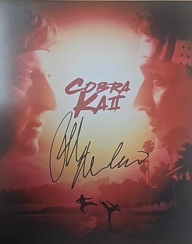 8x10 cobra kai promo fuji - 8x10",