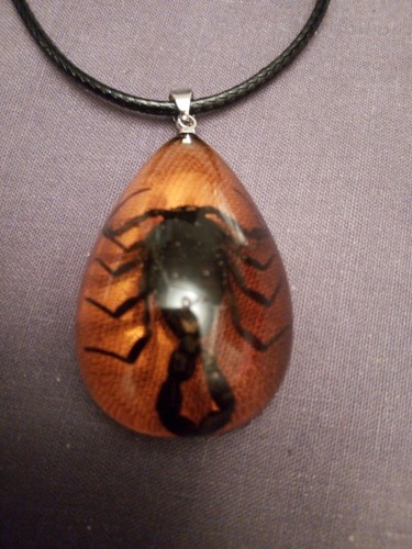 Natural rare black - , scorpion