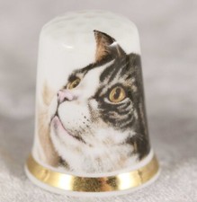 China Thimble Tabby cat