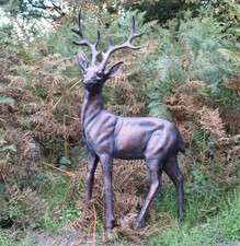 Extra large standing stag buck - extra,