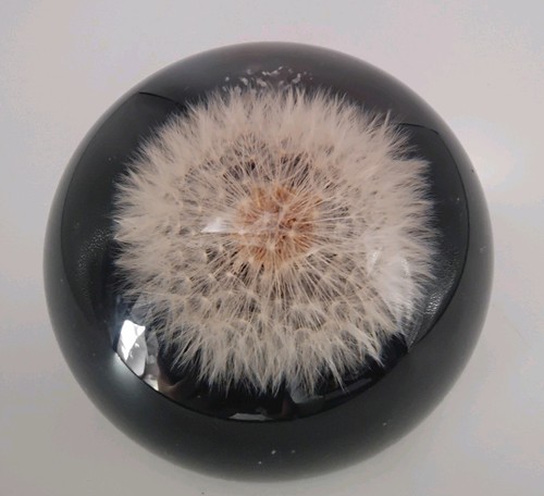 Poly quartz real - real, dandelion