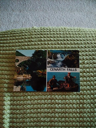 O postcard cenarth falls - p.,