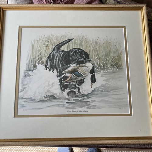 Helen bocking ltd edition - helen,