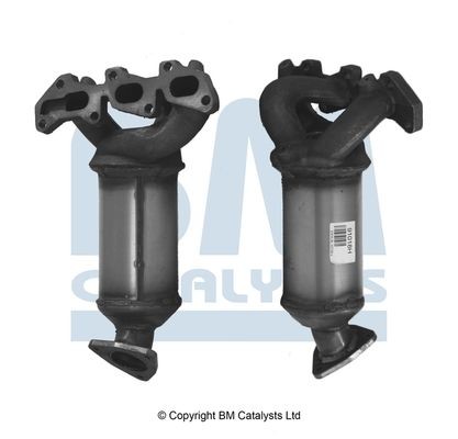 Catalysts bm91018h - catalysts,