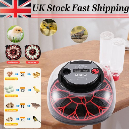 Digital egg incubator - digital,