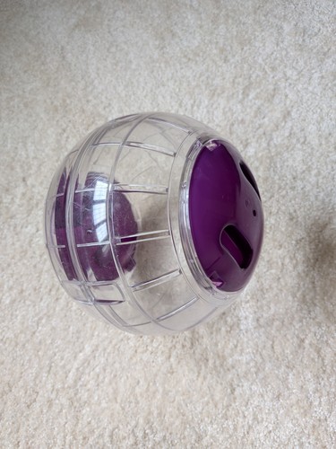 Hamster exercise ball 56cm - hamster,