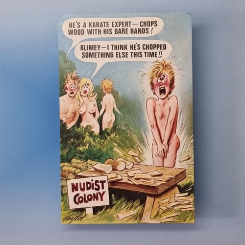 Comic postcard c1975 nudist - postcard,