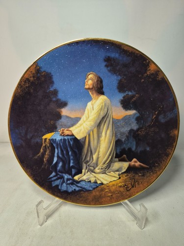Your choice plates life of - your,