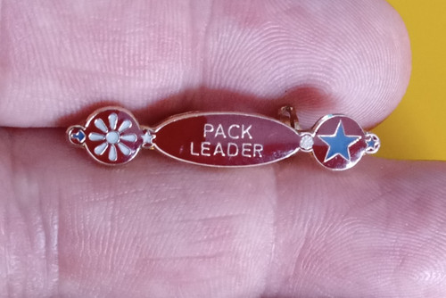Girl guides pack leader - guides,
