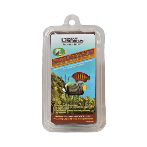 Ocean nutrition brown - nutrition, seaweed