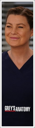 Grey anatomy bookmarks - anatomy,