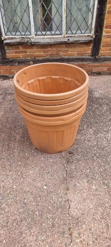 Large plastic plant - plant, 110