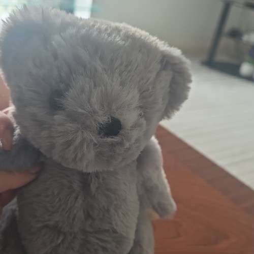 Archie grey plush - archie, teddy