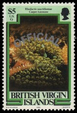 VIRGIN ISLANDS O15 - Carpet