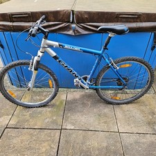 Giant Boulder Blue Mountain