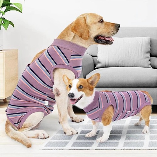 Dog surgery recovery suit - dog,