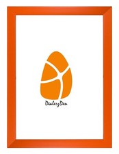 12 Rainbow Colours Modern