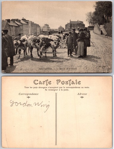 Coutances france cattle market - france,