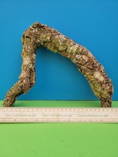 Cork bark branch 24cm snake - branch,