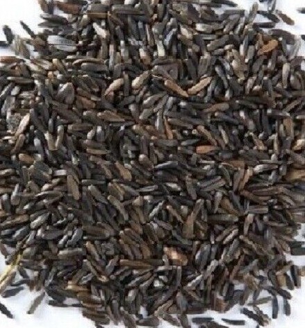 Niger seed premium nyjer - nyjer, wild