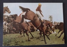 Horse Racing Postcard, Red Rum, Larger Card