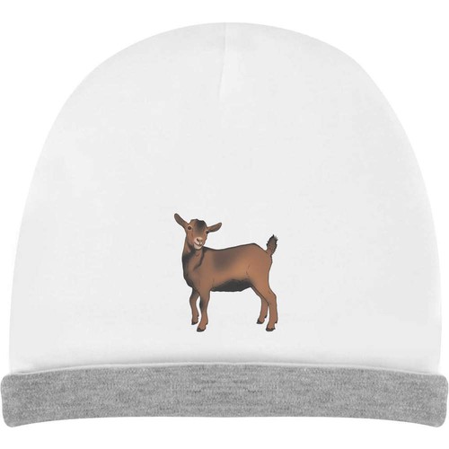 Pygmy goat kids - goat', hat