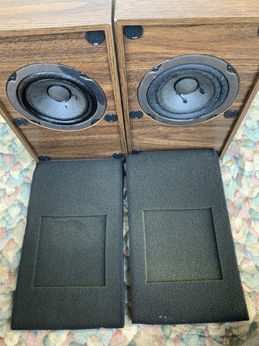 Vintage auratone full range - vintage,
